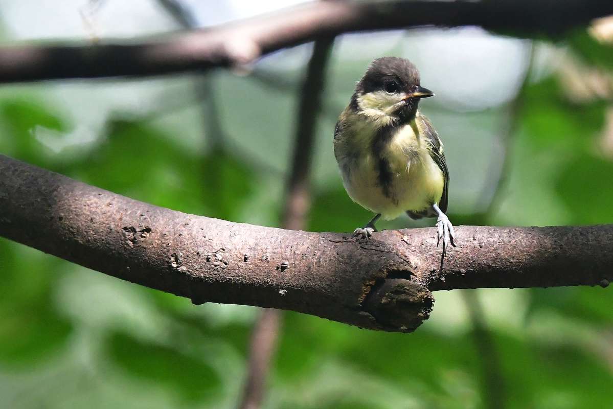 ... ����� �����  �� PhotoGeek.ru #�������� ���