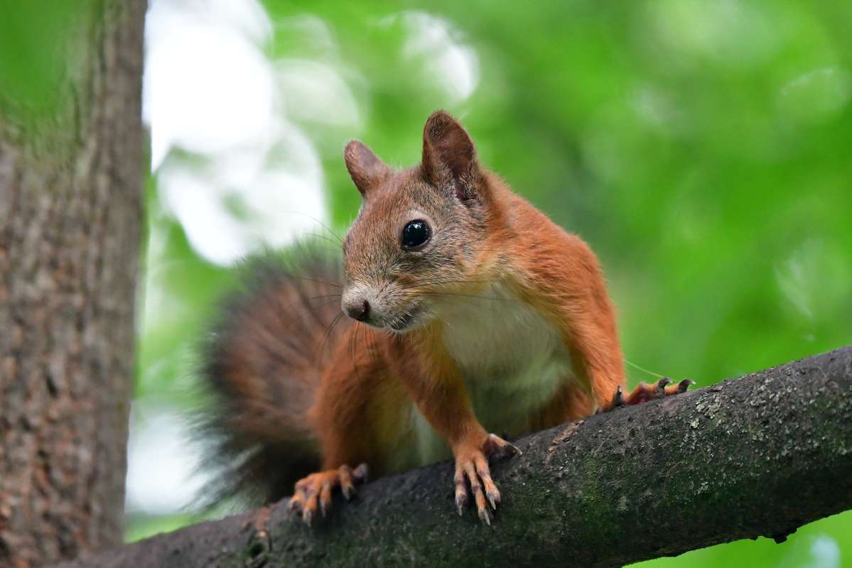 ... ����� �����  �� PhotoGeek.ru #�������� ���