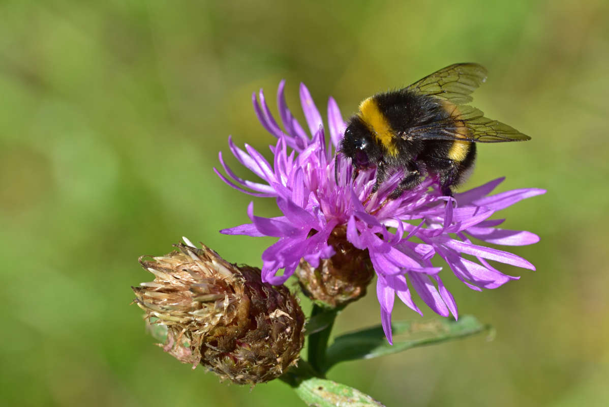 ... ����� �����  �� PhotoGeek.ru #�����