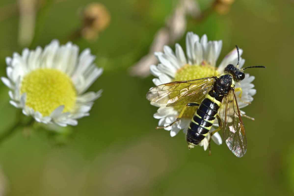 ... ����� �����  �� PhotoGeek.ru #�����