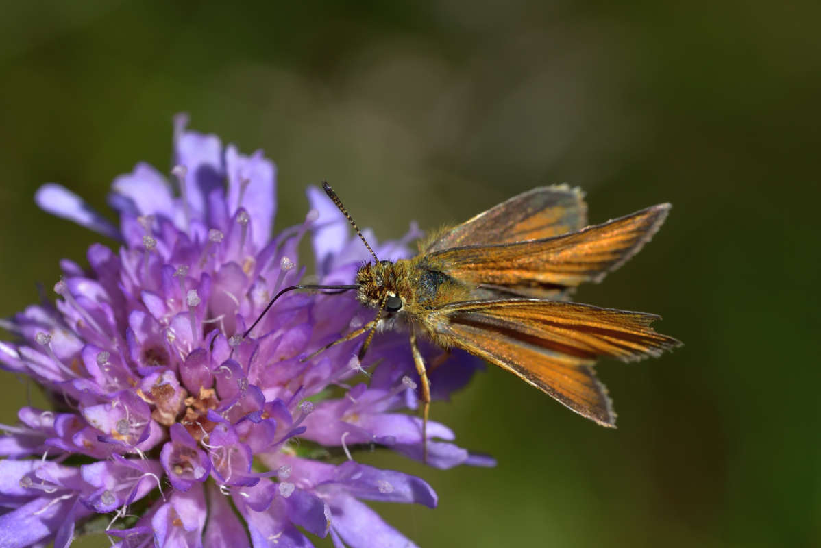 ... ����� �����  �� PhotoGeek.ru #�����