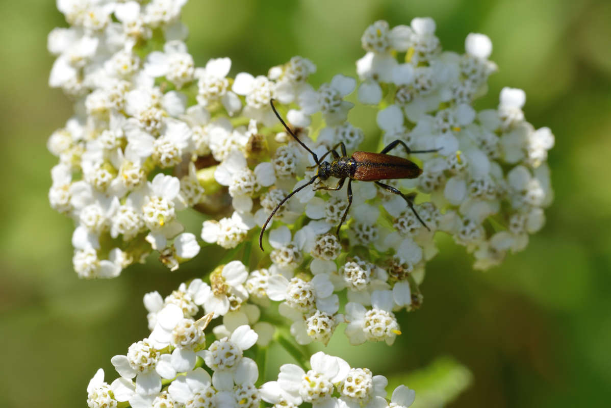 ... ����� �����  �� PhotoGeek.ru #�����