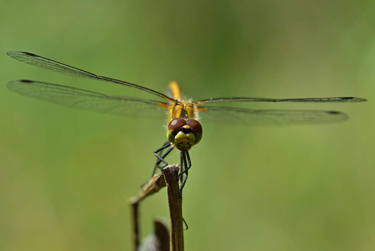 ... ����� �����  �� PhotoGeek.ru #�����