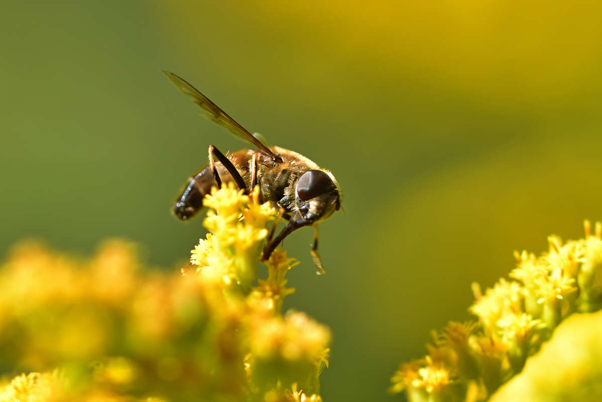 ... ����� �����  �� PhotoGeek.ru #�����