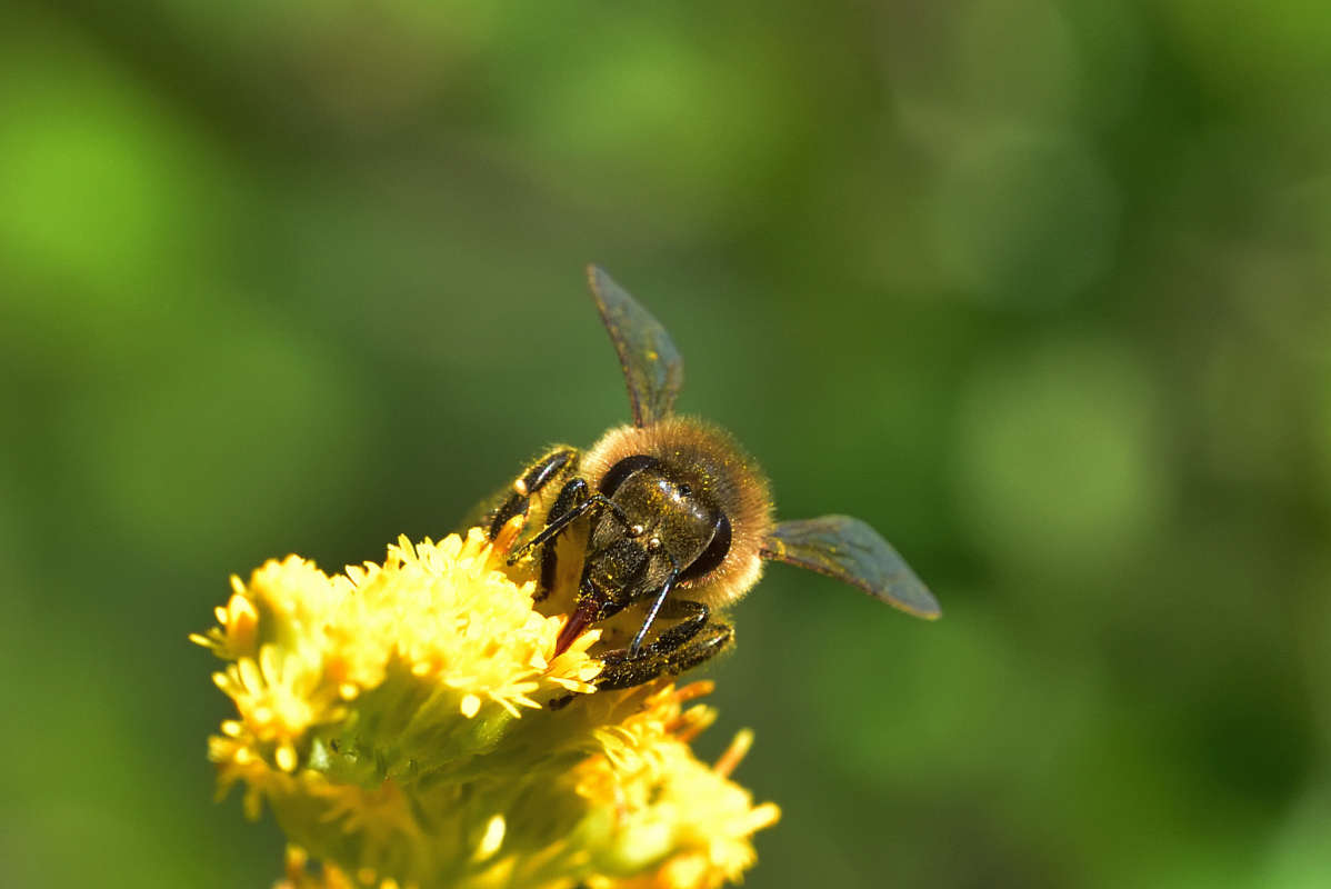 ... ����� �����  �� PhotoGeek.ru #�����