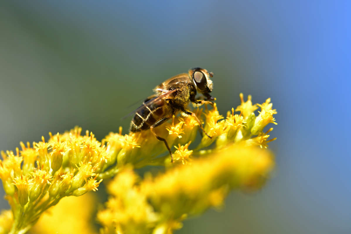 ... ����� �����  �� PhotoGeek.ru #�����