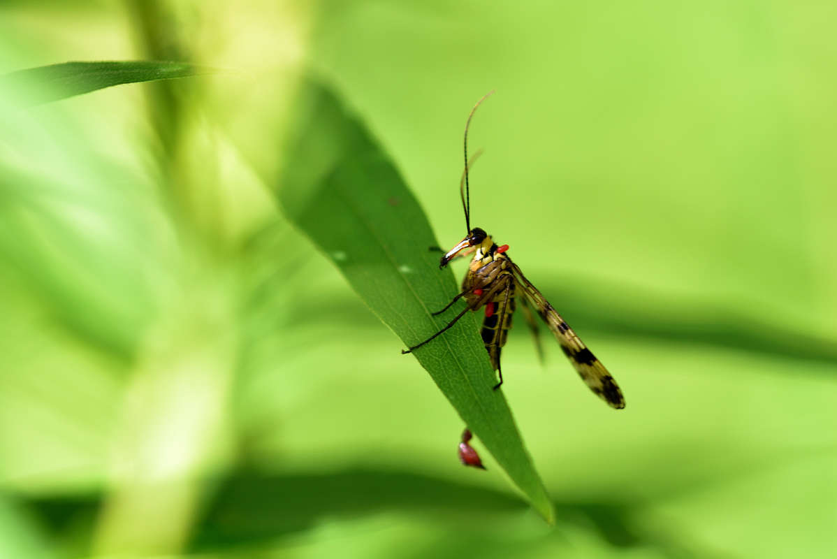 ... ����� �����  �� PhotoGeek.ru #�����