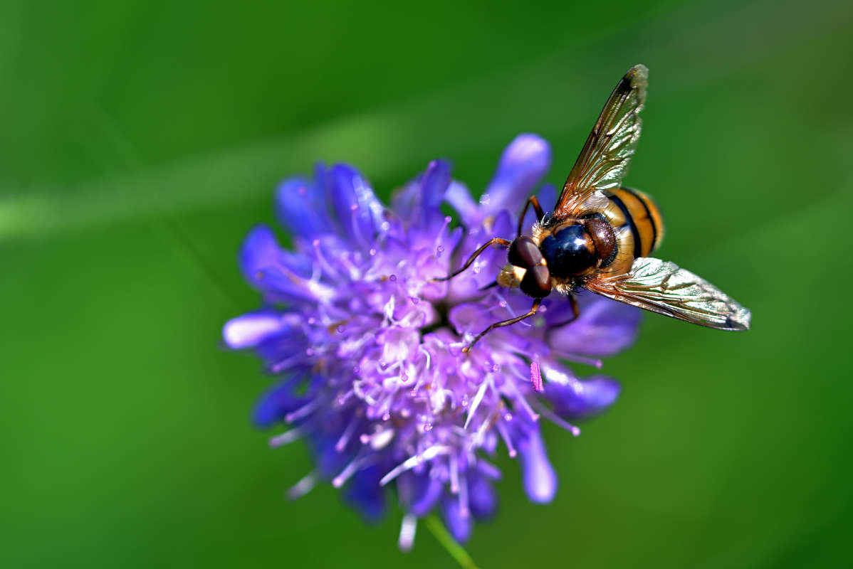 ... ����� �����  �� PhotoGeek.ru #�����