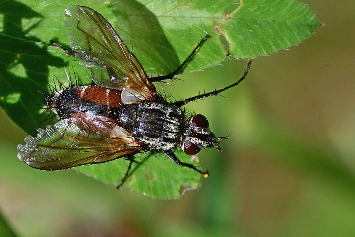 ... ����� �����  �� PhotoGeek.ru #�����