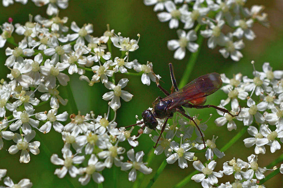 ... ����� �����  �� PhotoGeek.ru #�����