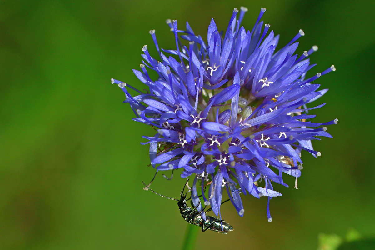 ... ����� �����  �� PhotoGeek.ru #�����