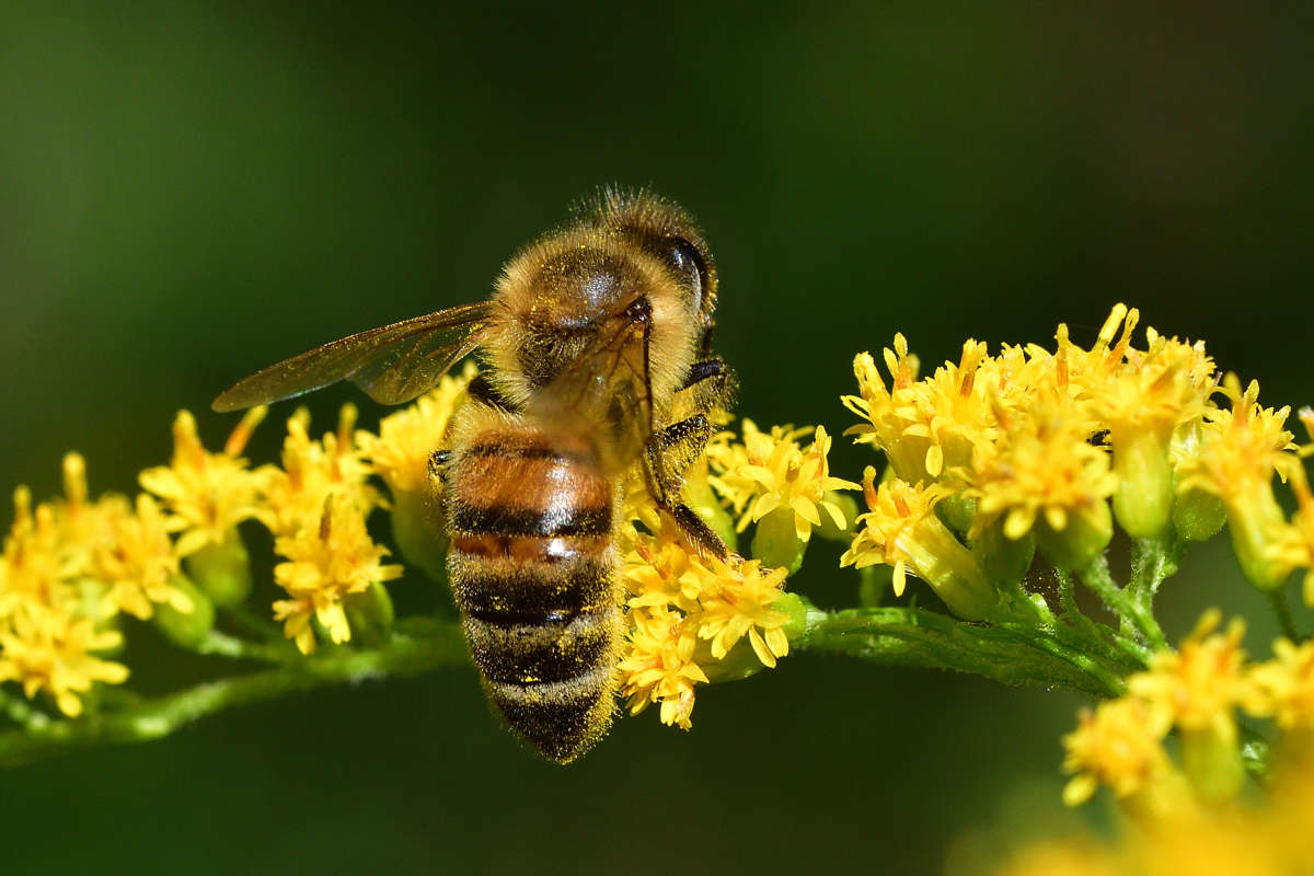 ... ����� �����  �� PhotoGeek.ru #�����