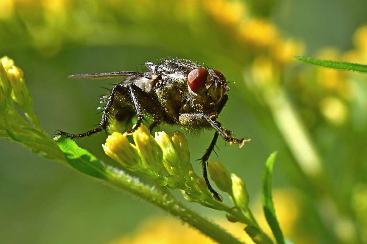 Step.. ����� �����  �� PhotoGeek.ru #�����