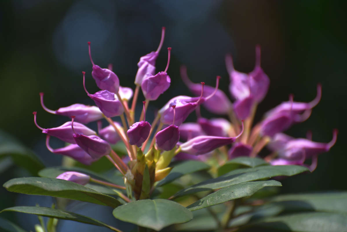 ... ����� �����  �� PhotoGeek.ru #������ ��� ������� #����� ��������������