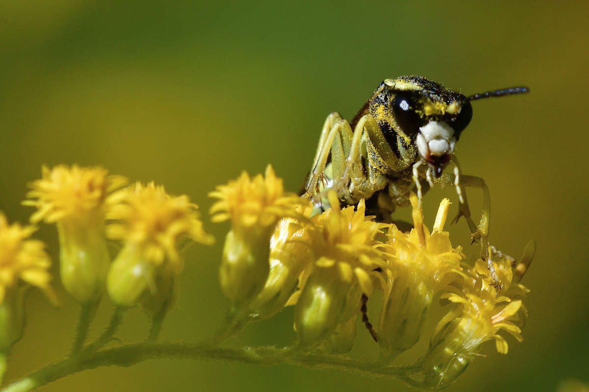 ... ����� �����  �� PhotoGeek.ru #�����