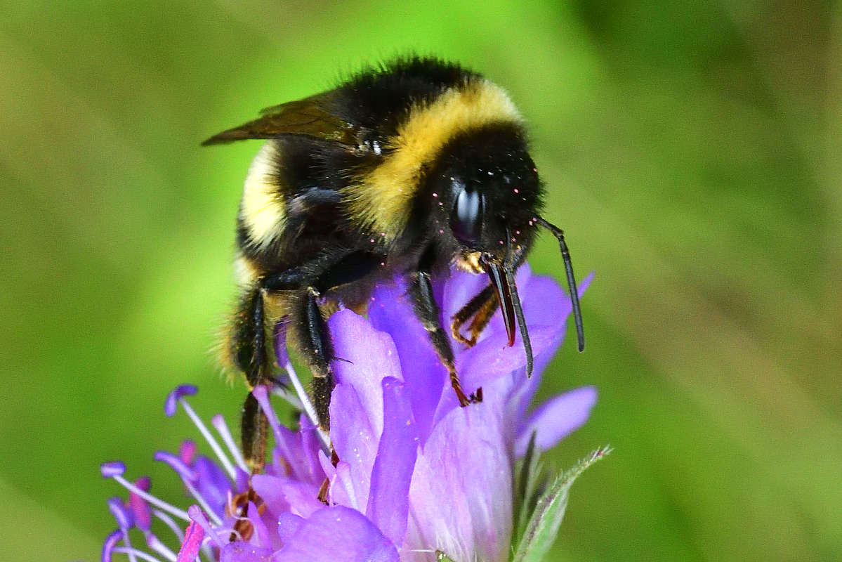 ... ����� �����  �� PhotoGeek.ru #�����