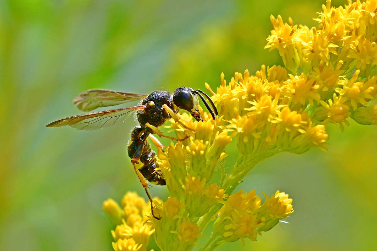 ... ����� �����  �� PhotoGeek.ru #�����