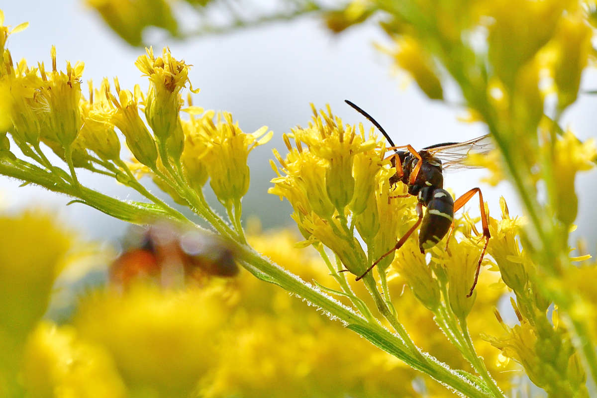 ... ����� �����  �� PhotoGeek.ru #�����