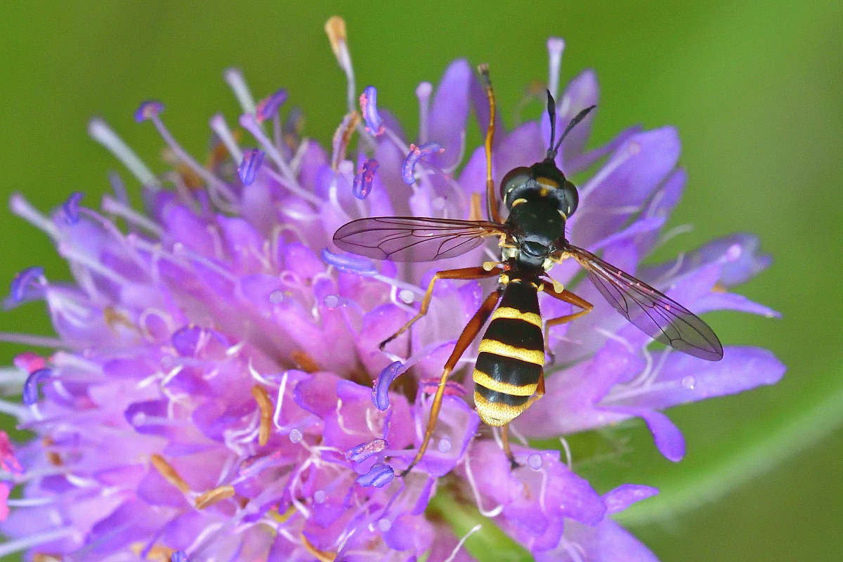 ... ����� �����  �� PhotoGeek.ru #�����