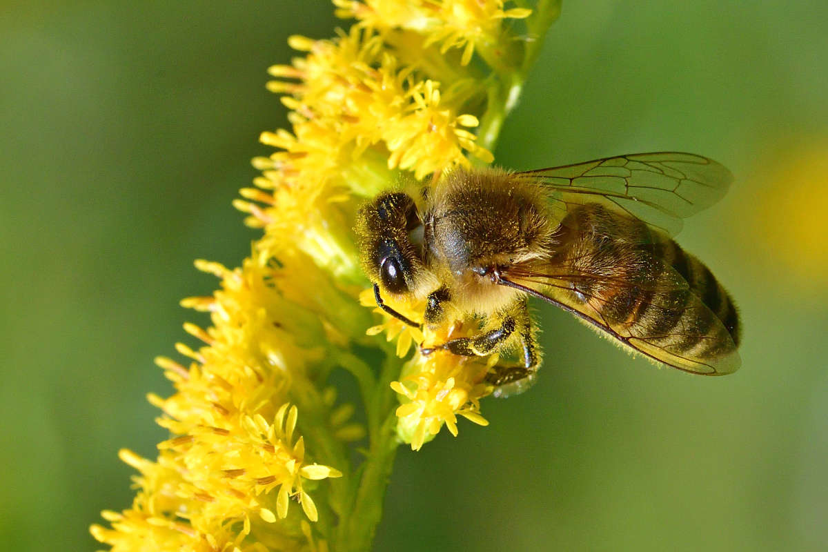 ... ����� �����  �� PhotoGeek.ru #�����