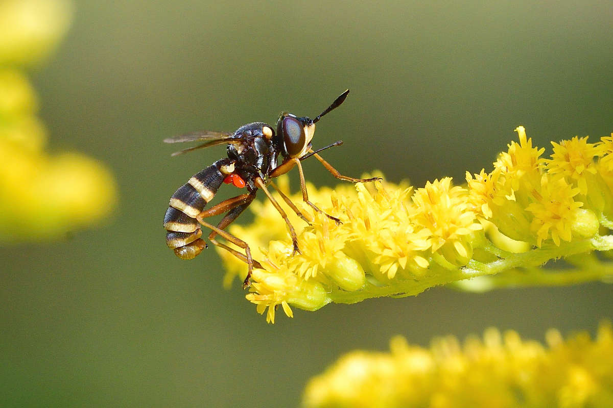 ... ����� �����  �� PhotoGeek.ru #�����