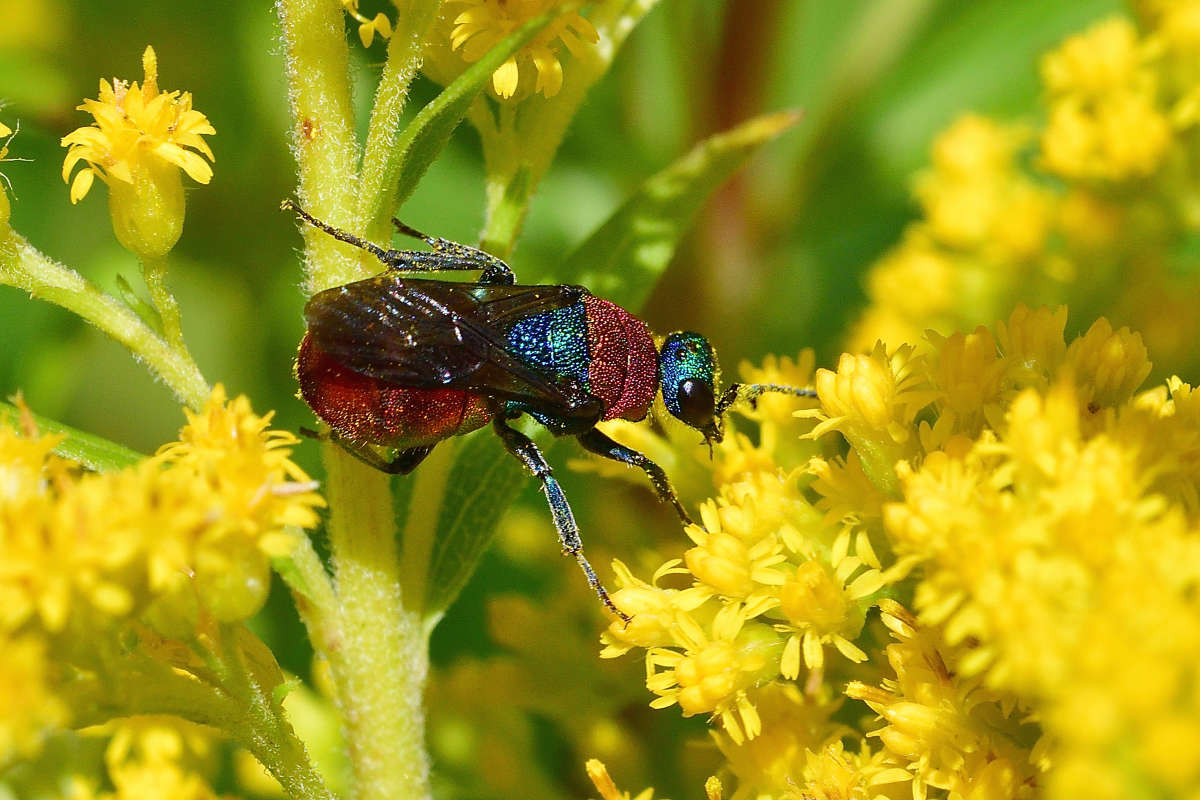 ... ����� �����  �� PhotoGeek.ru #�����