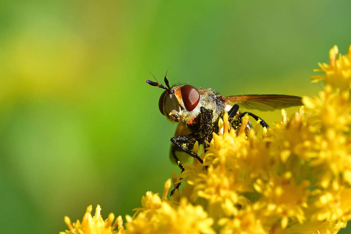 ... ����� �����  �� PhotoGeek.ru #�����