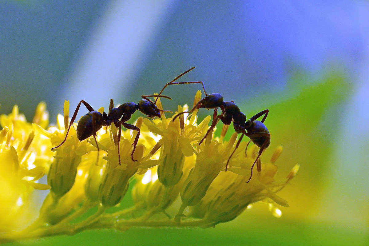 ... ����� �����  �� PhotoGeek.ru #�����