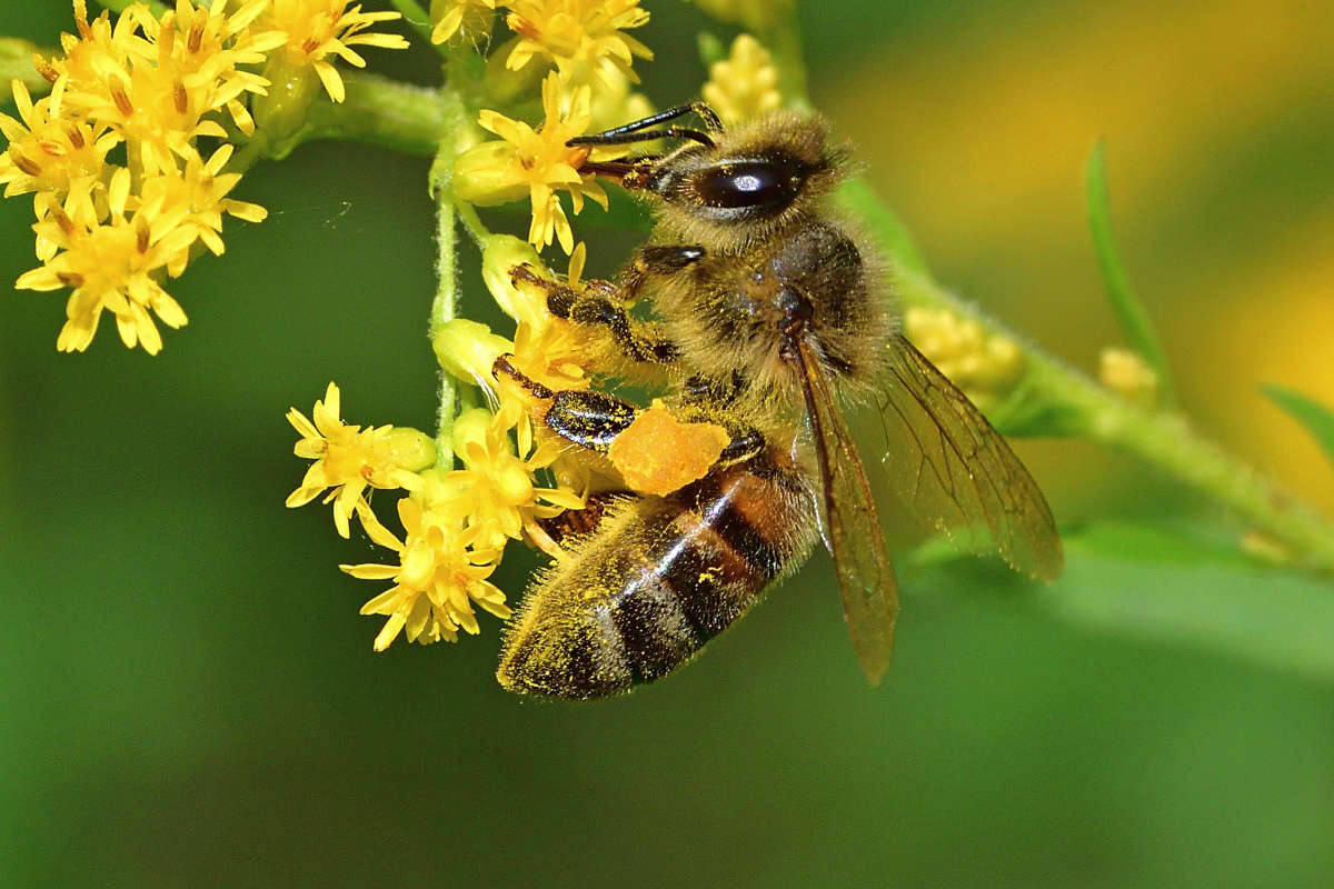 ... ����� �����  �� PhotoGeek.ru #�����