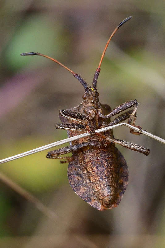 ... ����� �����  �� PhotoGeek.ru #�����