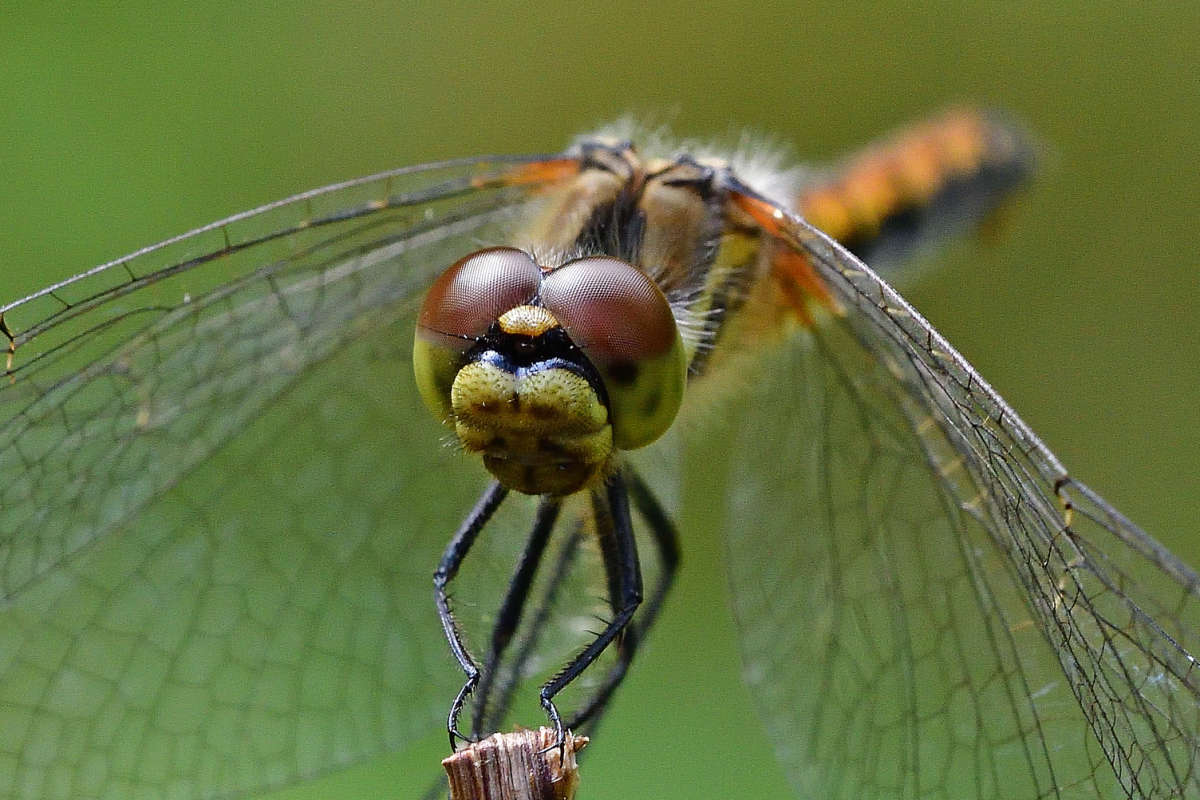 ... ����� �����  �� PhotoGeek.ru #�����