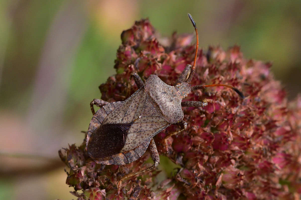 ... ����� �����  �� PhotoGeek.ru #�����