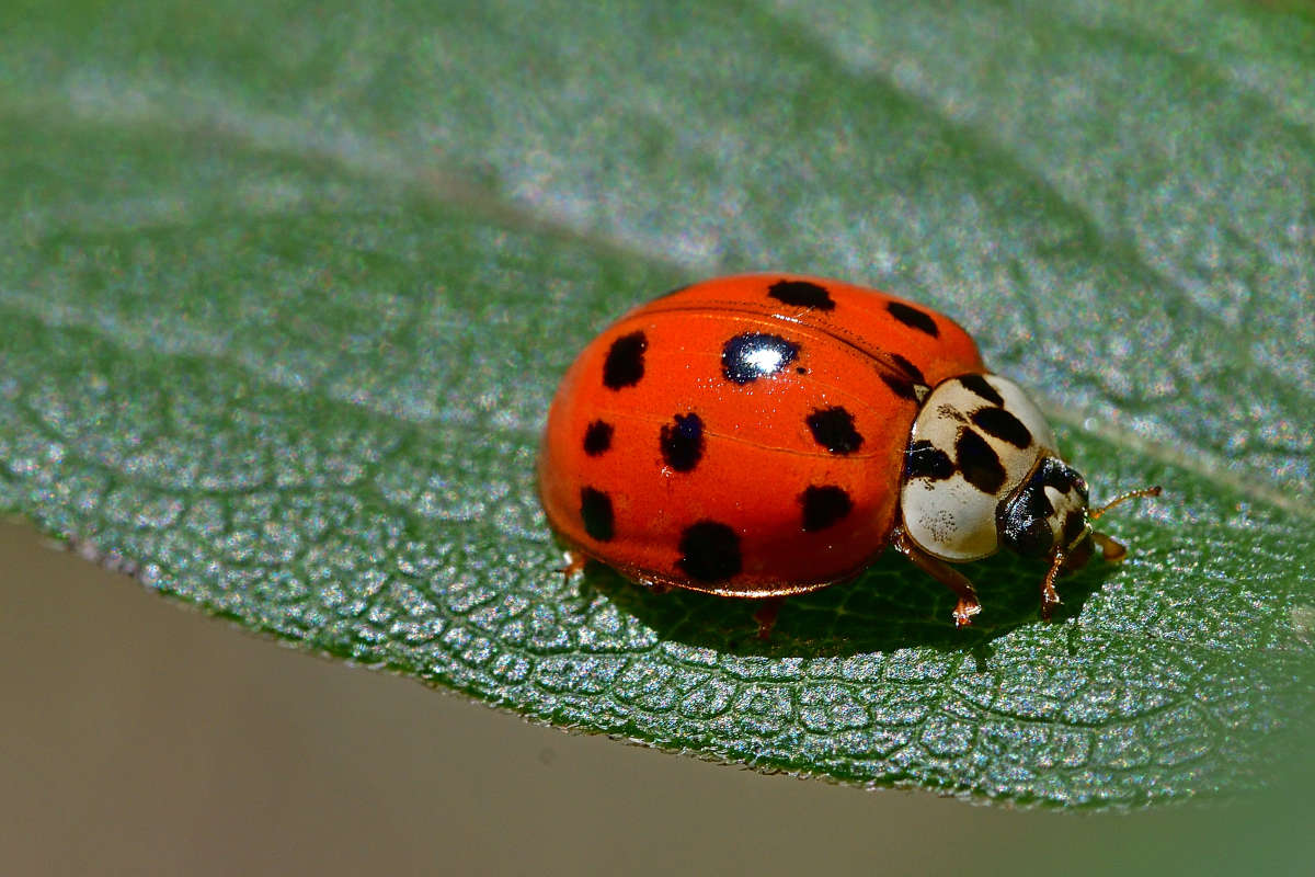 ... ����� �����  �� PhotoGeek.ru #�����