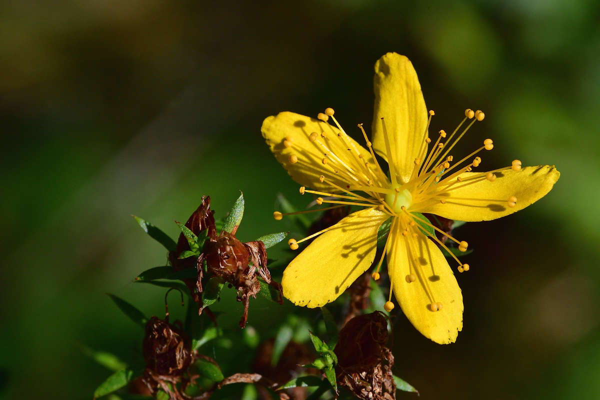 ... ����� �����  �� PhotoGeek.ru #����� #����� ��������������