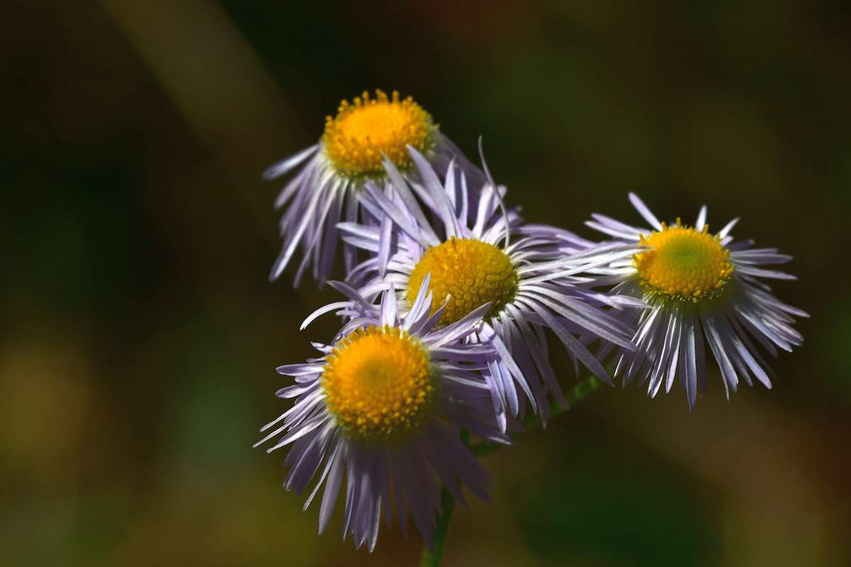 ... ����� �����  �� PhotoGeek.ru #������ ��� ������� #����� ��������������