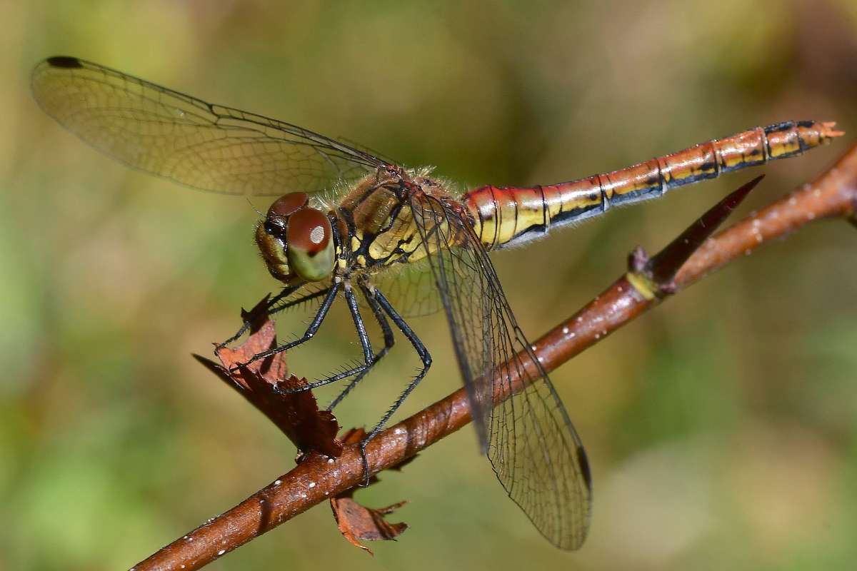 ... ����� �����  �� PhotoGeek.ru #�����