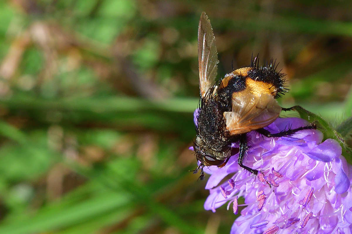 ... ����� �����  �� PhotoGeek.ru #�����