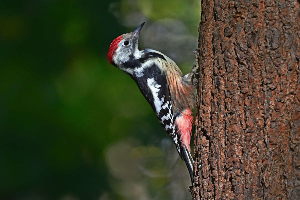 ... ����� �����  �� PhotoGeek.ru #�������� ��� #����� ��� ��� ���������