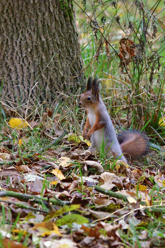 ... ����� �����  �� PhotoGeek.ru #�������� ���