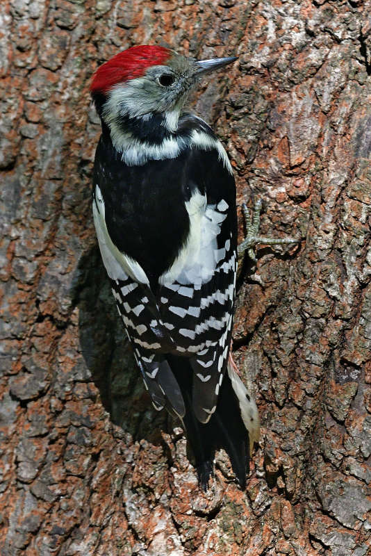 ... ����� �����  �� PhotoGeek.ru #�������� ���