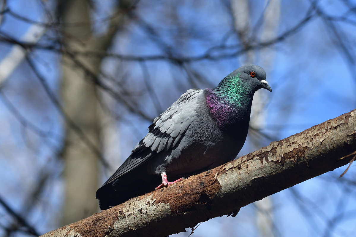 ... ����� �����  �� PhotoGeek.ru #�������� ���