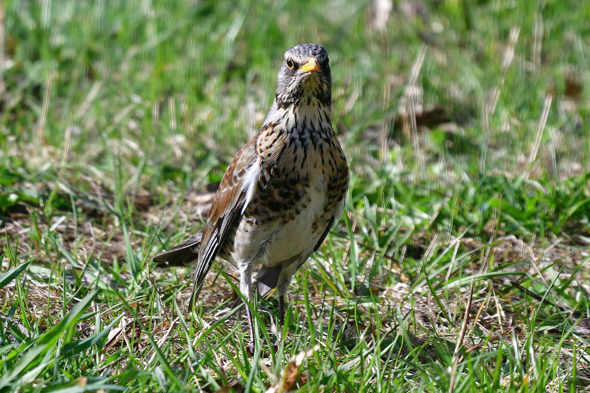 ... ����� �����  �� PhotoGeek.ru #�������� ���