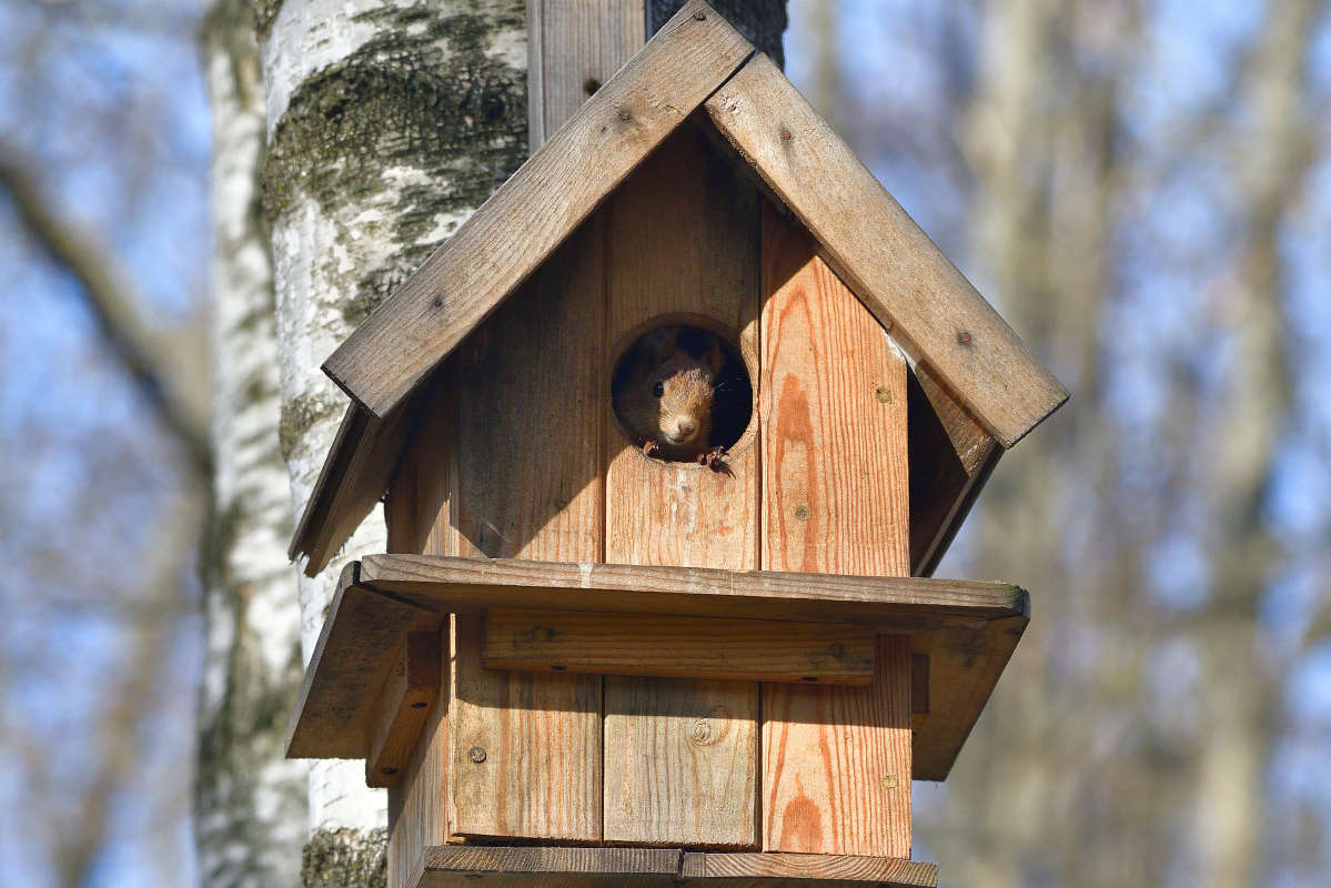 ... ����� �����  �� PhotoGeek.ru #�������� ���