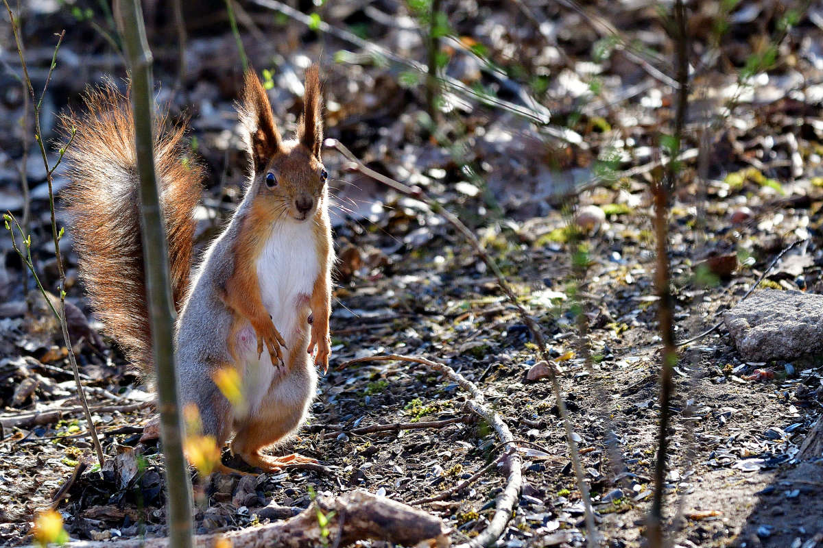 ... ����� �����  �� PhotoGeek.ru #�������� ���