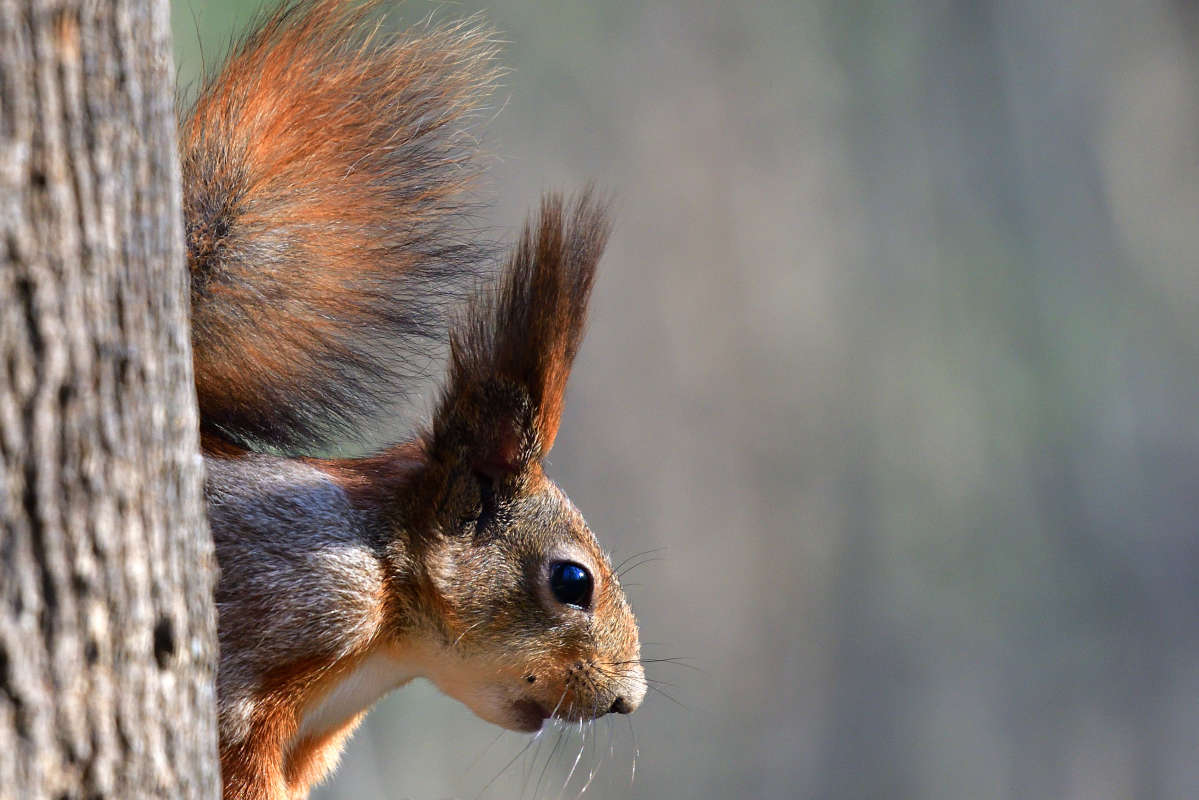 ... ����� �����  �� PhotoGeek.ru #�������� ���