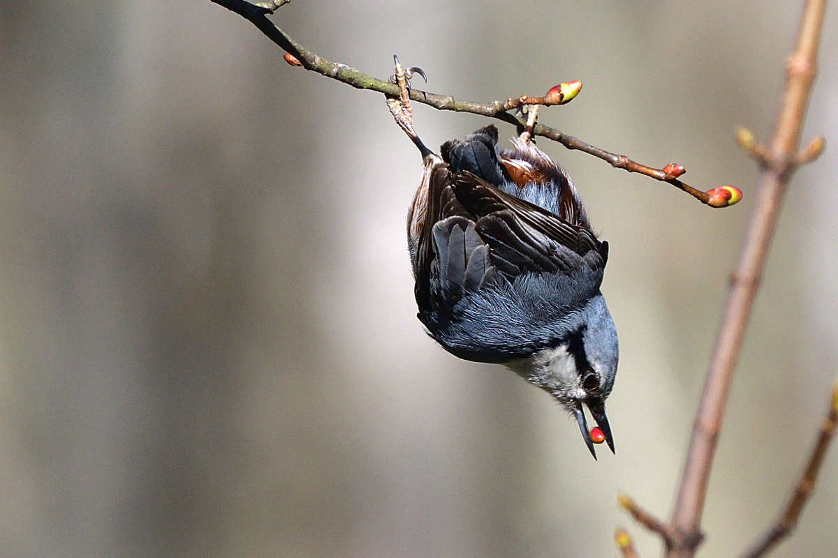 ... ����� �����  �� PhotoGeek.ru #�������� ���