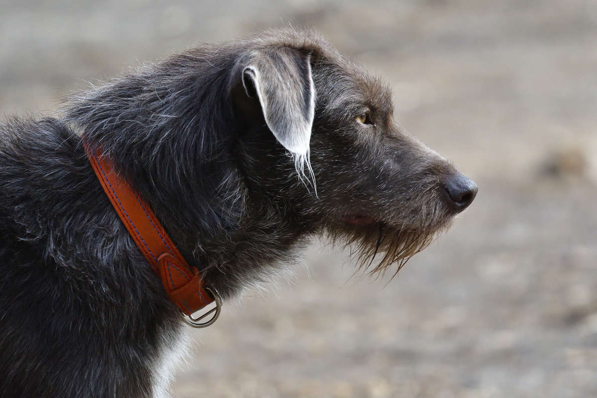 In profile. ����� �����  �� PhotoGeek.ru #�������� ���