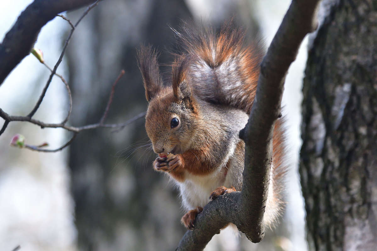 ... ����� �����  �� PhotoGeek.ru #�������� ���