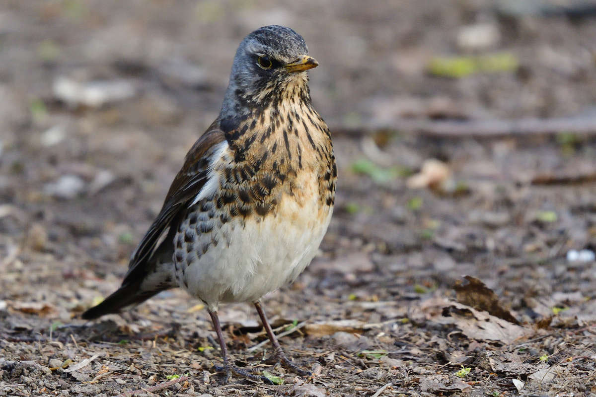 ... ����� �����  �� PhotoGeek.ru #�������� ���