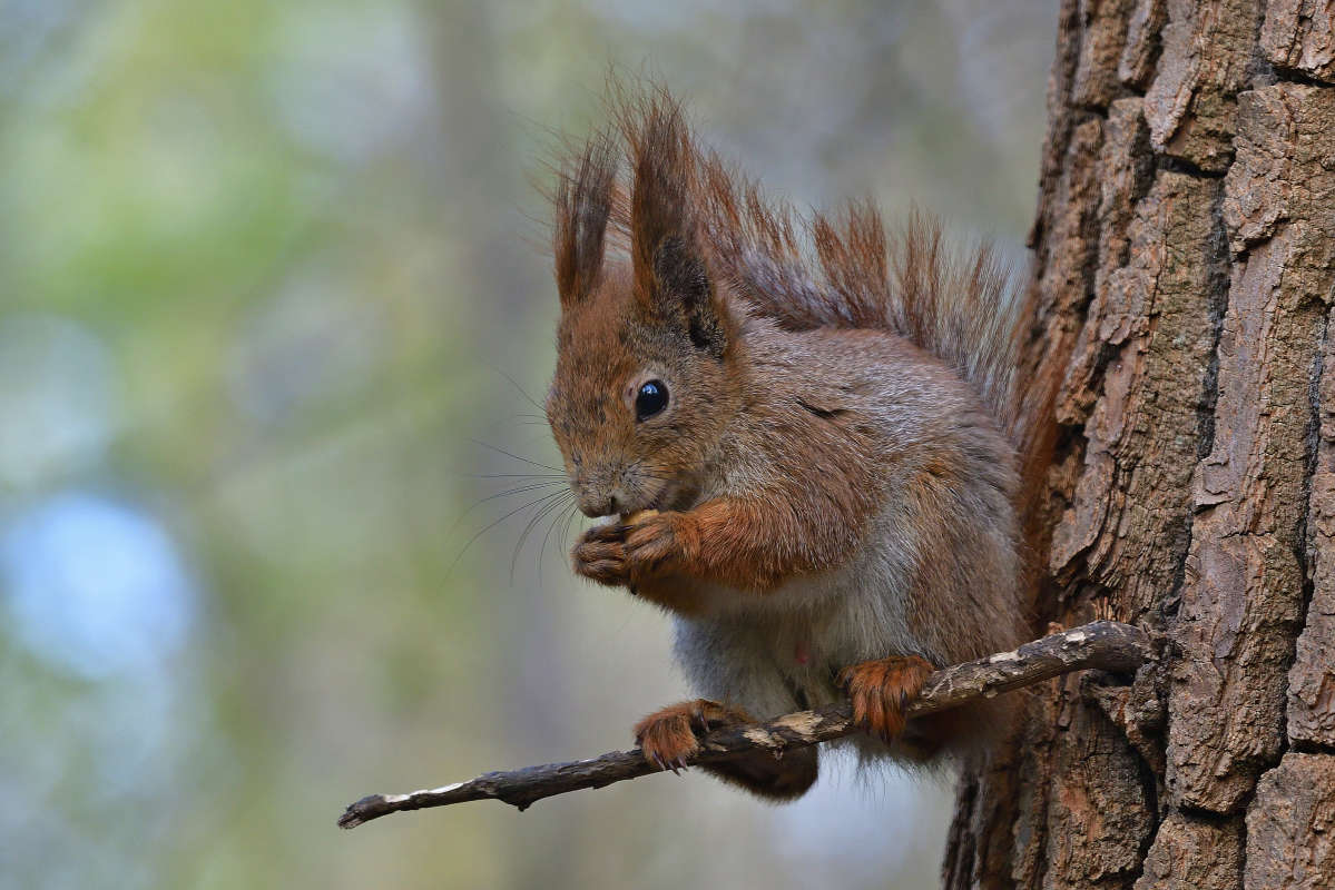 ... ����� �����  �� PhotoGeek.ru #�������� ���